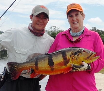 big peacock bass on fly tackle.jpg